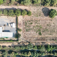 เมื่อความเพียรผลิดอกผล-1-ปี-แห่งความเพียรพยายามสวนปันสุขสุโขทัย เมื่อความเพียรผลิดอกผล-1-ปี-แห่งความเพียรพยายามสวนปันสุขสุโขทัย