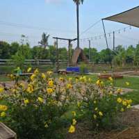 เช้านี้ที่สวนปันสุข-กาแฟอุ่นๆกับบรรยากาศต้นไม้ที่ค่อยๆเติบโต เช้านี้ที่สวนปันสุข-กาแฟอุ่นๆกับบรรยากาศต้นไม้ที่ค่อยๆเติบโต